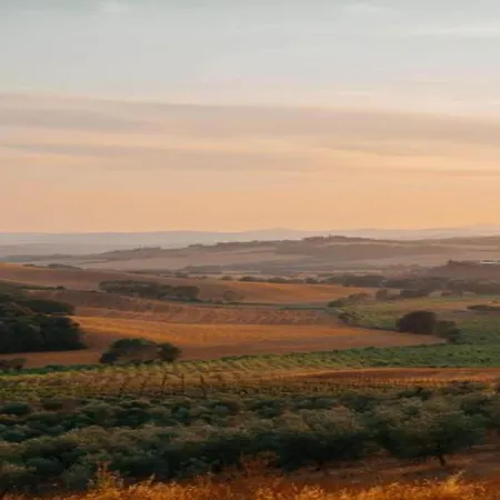 360 Degree View Over The Tuscan Hills * Buonconvento