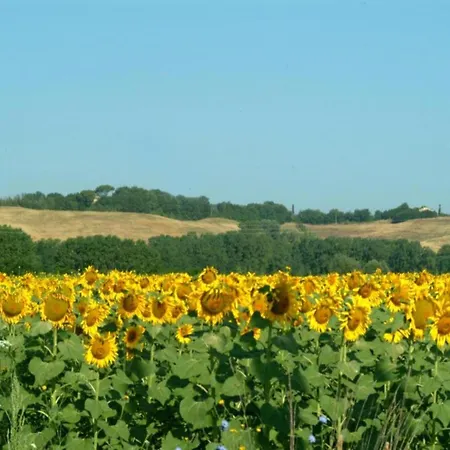 360 Degree View Over The Tuscan Hills Сasa de vacaciones *