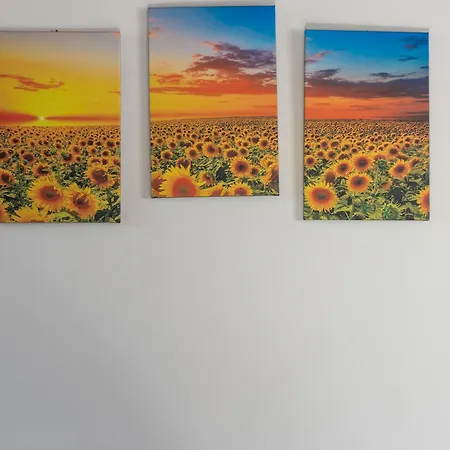 360 Degree View Over The Tuscan Hills 펜션 부온콘벤토